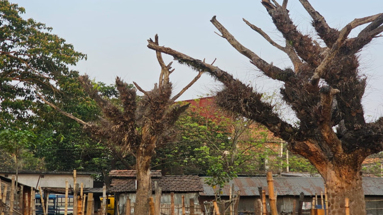 মণিরামপুরে ‘প্রকাশ্য’ নিলাম গোপনে! এসিল্যান্ডের বিরুদ্ধে অনিয়মের অভিযোগ