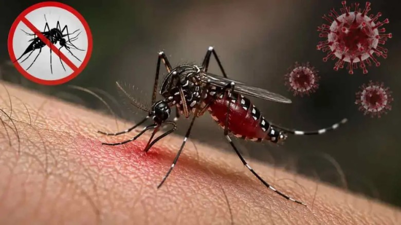 ডেঙ্গুতে সেপ্টেম্বরেই মৃত্যু ১৫২ জন